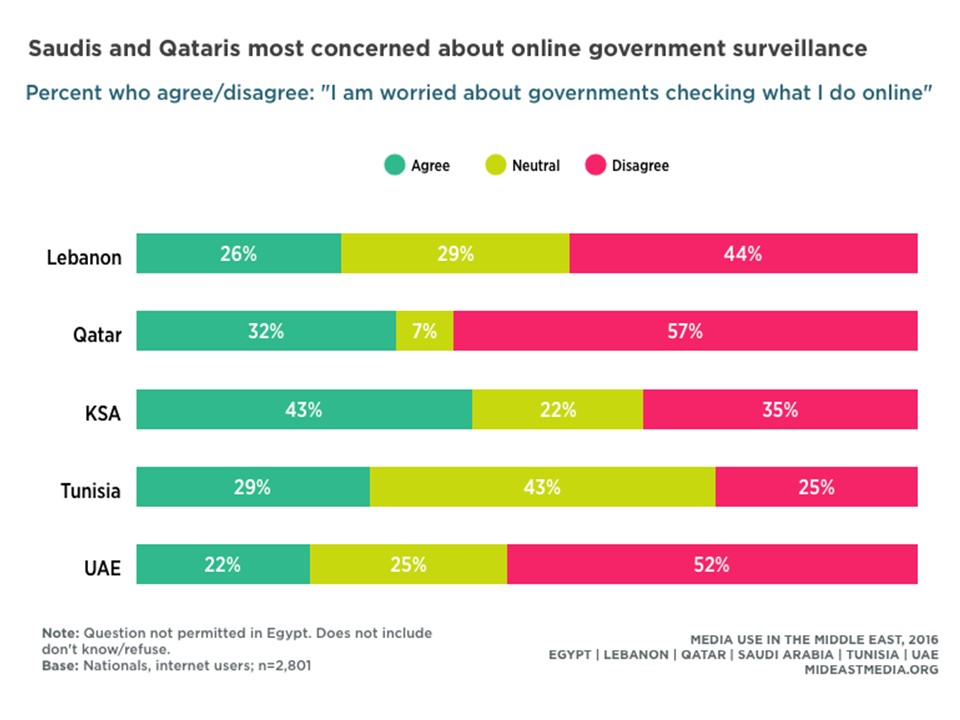 Saudi and Qataris most concerned about online government surveillance